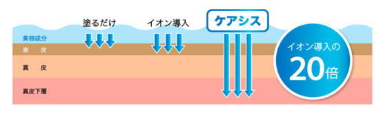 主な有効成分について